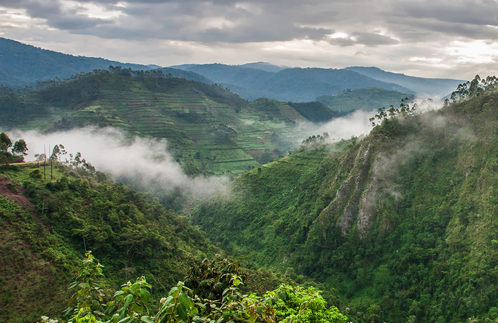 Scenic Uganda